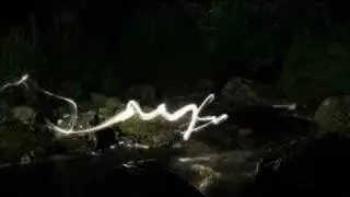 LICHTFAKTOR - Forest - Light Painting in Nature