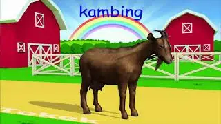 Nama dan Suara Hewan Ternak   Suara Binatang Animasi   Pembelajaran Anak anak