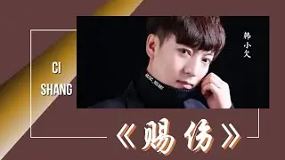 赐伤-Ci Shang [韩小欠 Han xiao qian] chi/pinyin lyrics