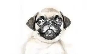 Como transformar uma imagem em Sketch no Photoshop