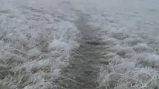Так оторванный лист...