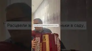 #баян