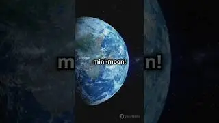 Meet Earth's new Mini_Moon: asteroid 2024 PT 5! 