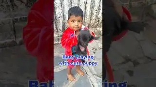 Baby playing with cute puppy #cutebaby #cutepuppy