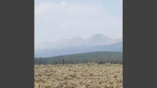 Lost in the Weeds