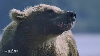 Kamchatka tours