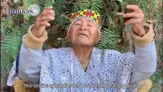 Icaros ceremony - medicine songs from the Amazon