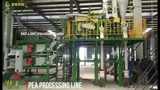 Pea Cleaning Processing Plant10
