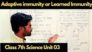 Adaptive Immunity or Learned Immunity | Class 7th Science - Unit 03