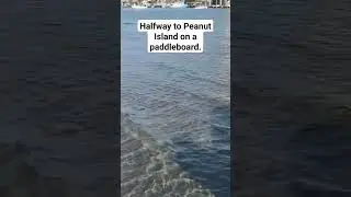 This bridge and island in Riviera Beach is great... #peanutisland #rivierabeach #westpalmbeach
