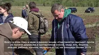 Спикер Заксобрания Дмитрий Свиридов о посадке деревьев в рамках акции «Сад памяти»