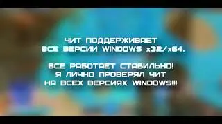 СЛИВ ПРИВАТНОГО ЧИТА ДЛЯ PALADINS 2017