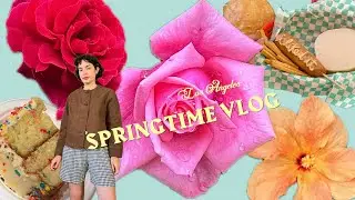 L.A. VLOG • Spring is here, baby hummingbirds, slowing down! 🌎