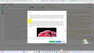 SpinnerChief is the only article spinner tool that can generate images that match your text