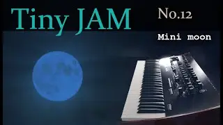 Tiny Jam No.12 Mini moon (Minilogue xd + Drumbrute Impact)