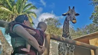 Visiting the Zoo in Puerto Vallarta, Mexico!