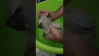 Ассолька ❤️ Любовь навеки❤️