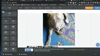 How to use Weebly for your website portfolio