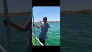 #джастинбибер