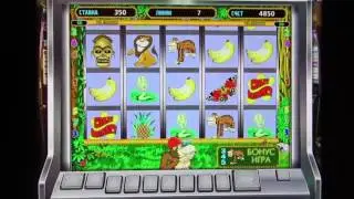 Как сделать вывод денег в казино вулкан  Выигрыш в игровые автоматы Crazy Monkey личный кабинет