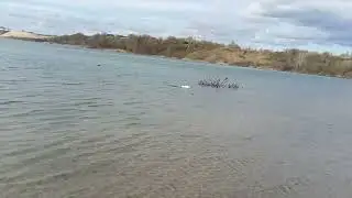 Сталкер в ветер .
