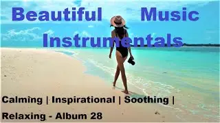 BEAUTIFUL INSTRUMENTAL MUSIC | Heart-Melting | Soothing | Sleep Music | Eases Body and Mind.
