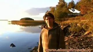 О шунгите на немецком языке