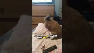 This bunny did something incredible with the T.V. ❤️