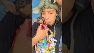 CORRIERON a SAPITO 😱 #shorts #viralvideo