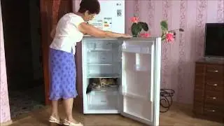 хол лж