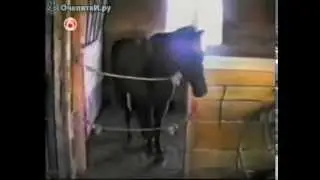 Танцуем вместе!