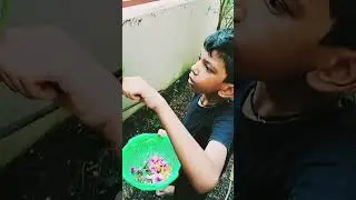 ഒന്നു ഒരുങ്ങിയാലോ#🌸🌺🪻short video #devoottan