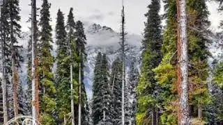 Swat Tourism |Swat Jwargo |Switzerland|Swat Kalam|Swat Malam jaba|Pakistan Tourism Spots