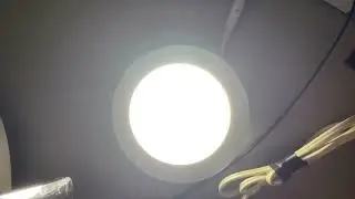 PLU