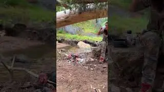 Camping And Cooking Deer In The Wild  #survival #outdoorlife
