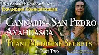 Cannabis, San Pedro, Ayahuasca: Plant Medicine Secrets Part Two