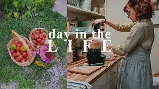 Using Summer Tomatoes | Traditional Homemaker Day in the Life