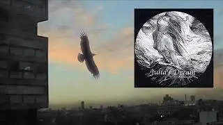 Julia's Dream - Mrs Jones