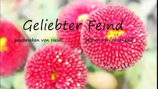 Geliebter Feind (FF) - Kapitel 1 (von Heidi, gelesen von AiyanaHB)