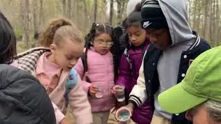 Trout in the Classroom