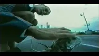 Mauro Picotto - Iguana HQ