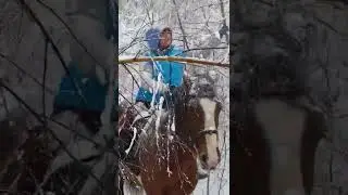 Минутка юмора - я для кого стараюсь?