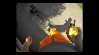 Puppy off leash obedience
