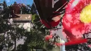 What Must The Hummingbird See?