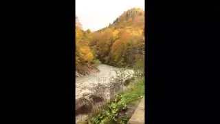 Осень в горах, по дороге в Гузерипль . Адыгея .( Autumn in the mountains )