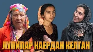 ЛУЛИлар каердан келиб чикканини биласизми