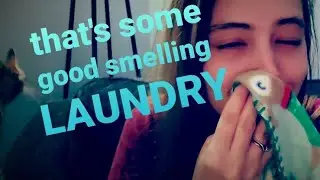 How to get pet odors (including cat pee) out of laundry