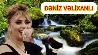 13.11.24 DƏNİZ VƏLİXANLINİN BƏRDƏ TOYUNDAN GÖRÜNTÜLƏRİ 👍