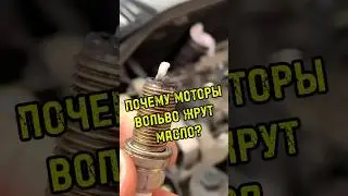Куда уходит масло в турбо моторах VOLVO - смотрим в камеру сгорания через эндоскоп.
