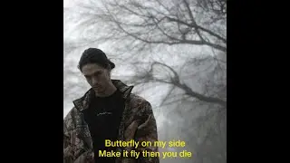 [FREE] Bones x PHARAOH x Ghostemane x Night lovell Type Beat - «butterfly»